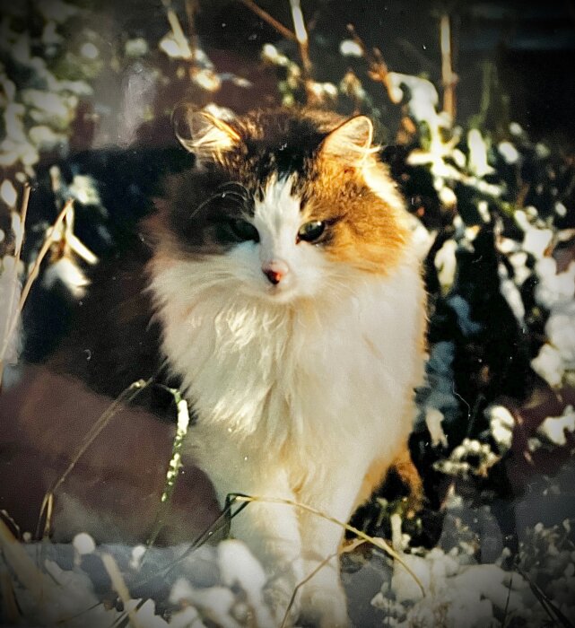 IMG_3541.jpeg
