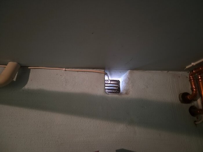 20260830_102556.jpg