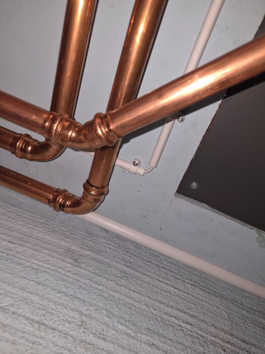 20260830_104722.jpg