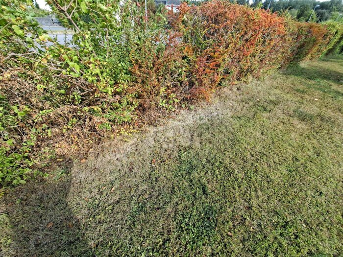 20260830_112928.jpg