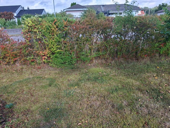 20260830_112903.jpg