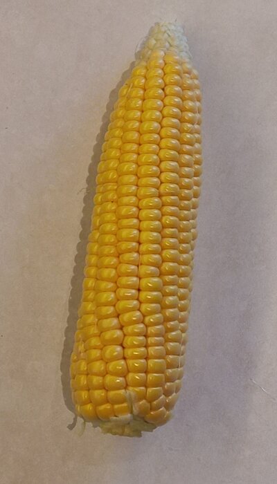 20260830_174436.jpg