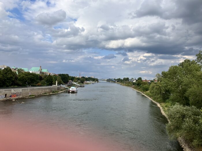 IMG_6818.jpeg