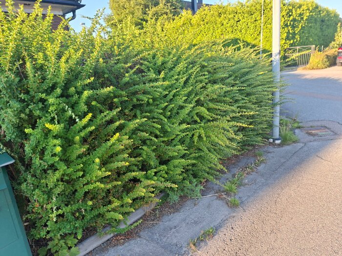 20260901_181645.jpg