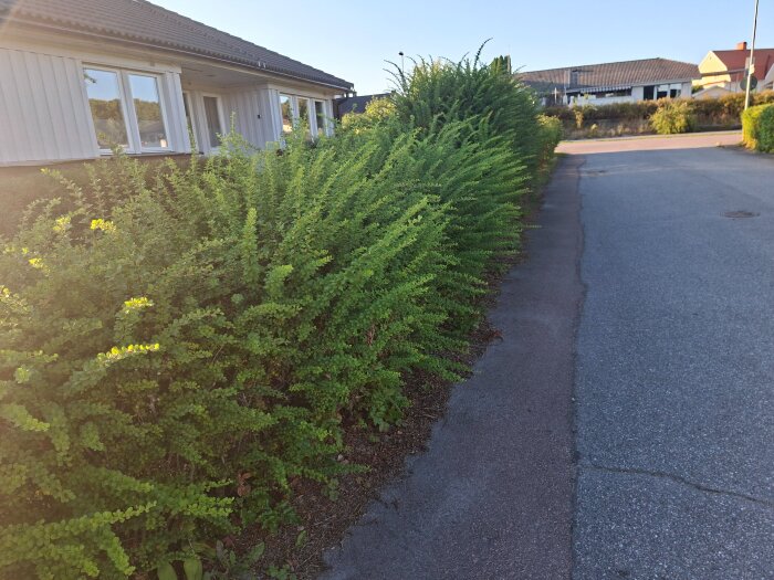 20260901_181629.jpg