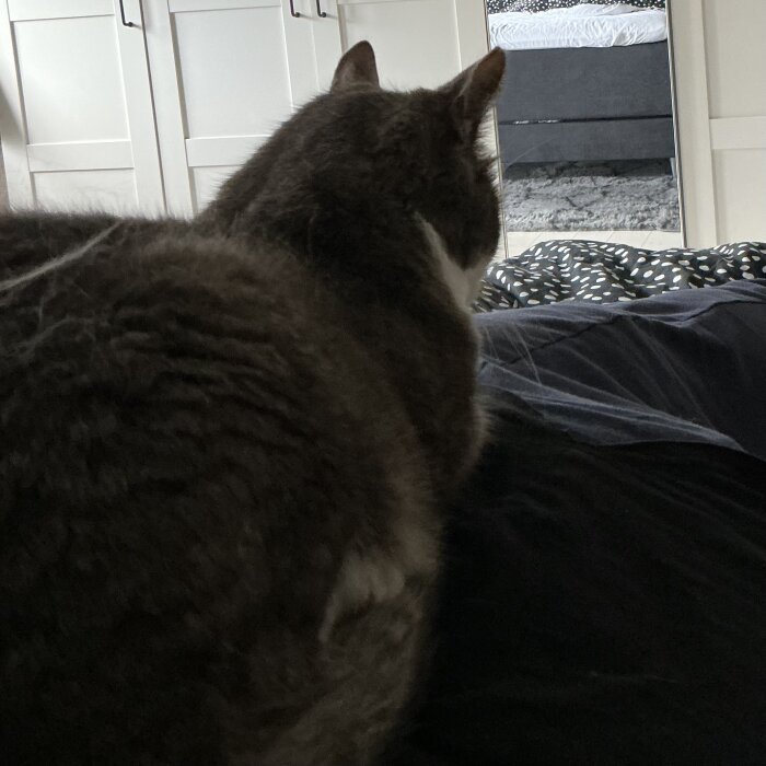 IMG_0670.jpeg