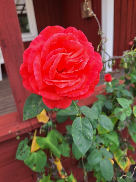 20260901_103806.jpg