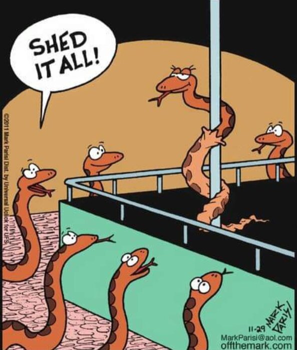 Tecknad bild av ormar vid en strippstång, en av dem tar av sig sitt skinn medan andra tittar på och en säger "Shed it all!".