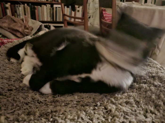 1788686612496.jpeg