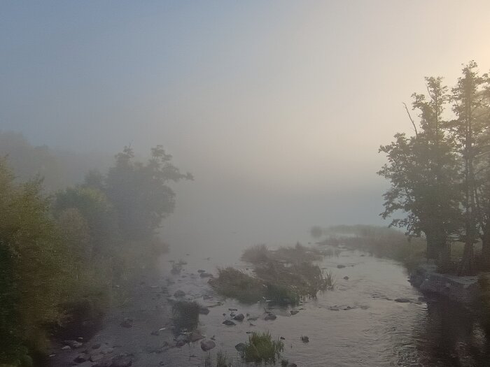 Dimma över en å med träd i bakgrunden en tidig höstmorgon.