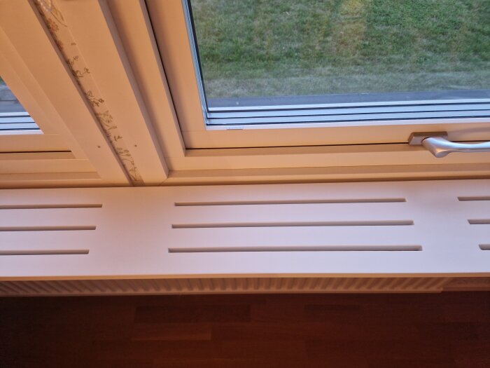20260906_194843.jpg