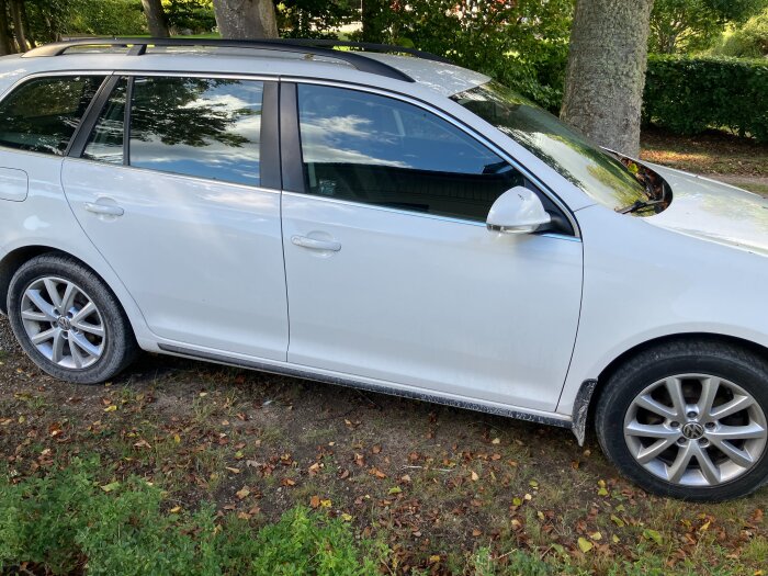 Vit kombibil parkerad bredvid ett träd, omgiven av grönska och löv på marken.