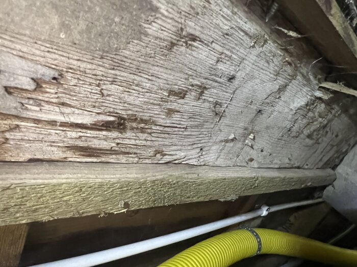Torr, obehandlad träbjälke under ett hus, med en gul slang och vit ledning synlig.