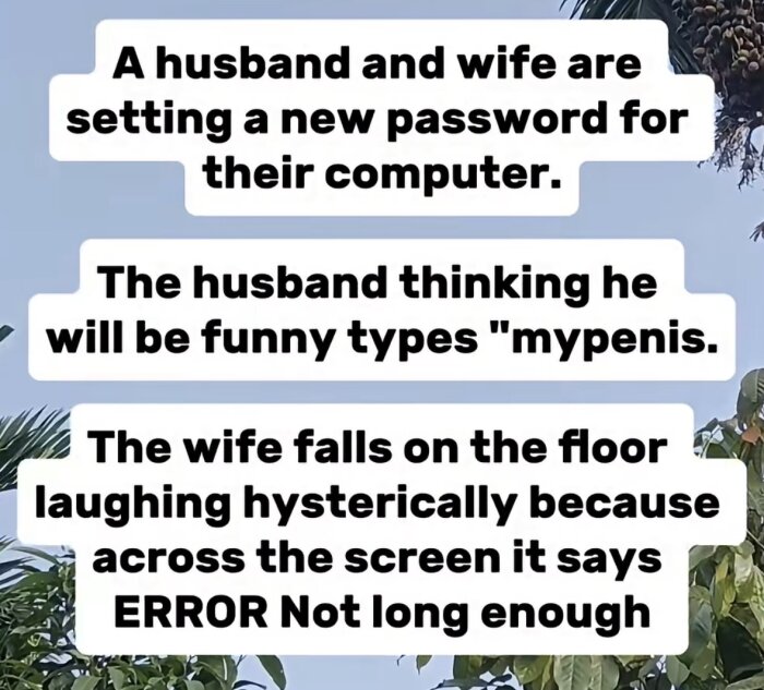 Textskämt om ett par som försöker skapa ett lösenord. Mannen skriver "mypenis" och får felmeddelandet "ERROR Not long enough", vilket får kvinnan att skratta.