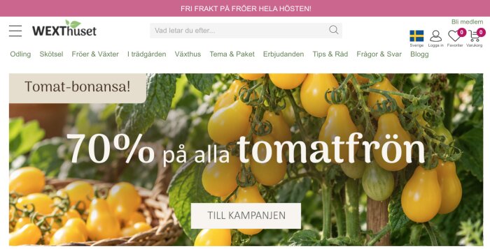 Gula pärontomater påplantan, reklam för 70% rabatt på tomatfrön från WEXThuset.