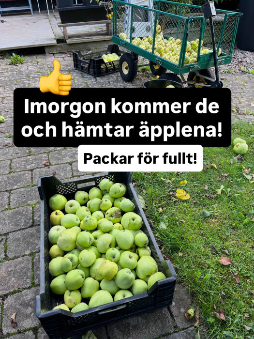 Lådor och en vagn fyllda med gröna äpplen står på en stenlagd uteplats, redo för hämtning.