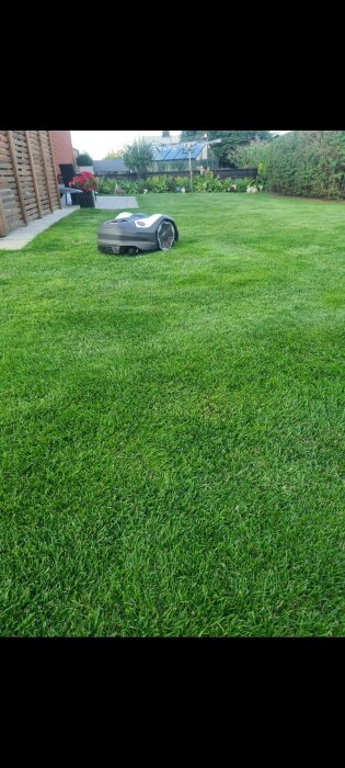 En Husqvarna Automower 405VE robotgräsklippare klipper gräsmattan i en välskött trädgård med blommor och buskar i bakgrunden.
