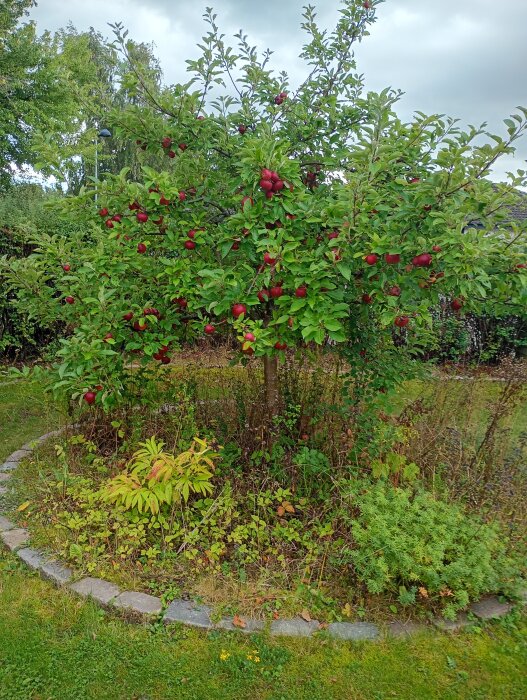 IMG_20260911_135452486_HDR.jpg