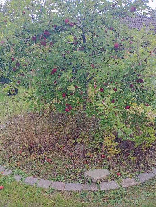IMG_20260911_135523001_HDR.jpg