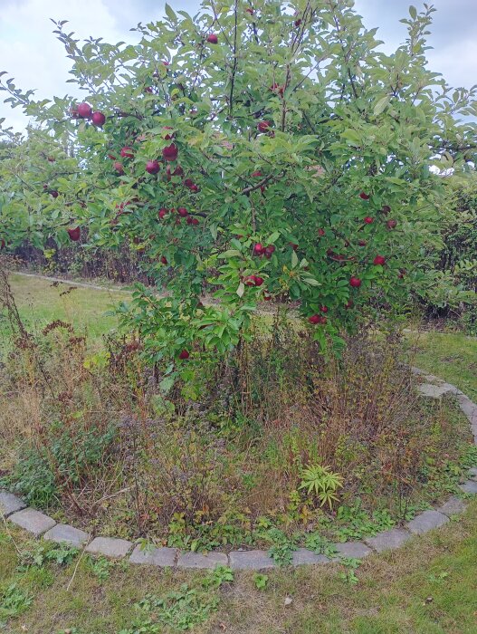 IMG_20260911_135509965_HDR.jpg