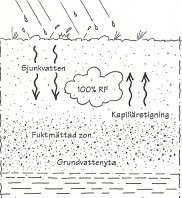 Diagram över marklager med regn, sjunkvattenspil, kapillärstigning, och angivna zoner som fuktmättad zon och grundvattenyta.