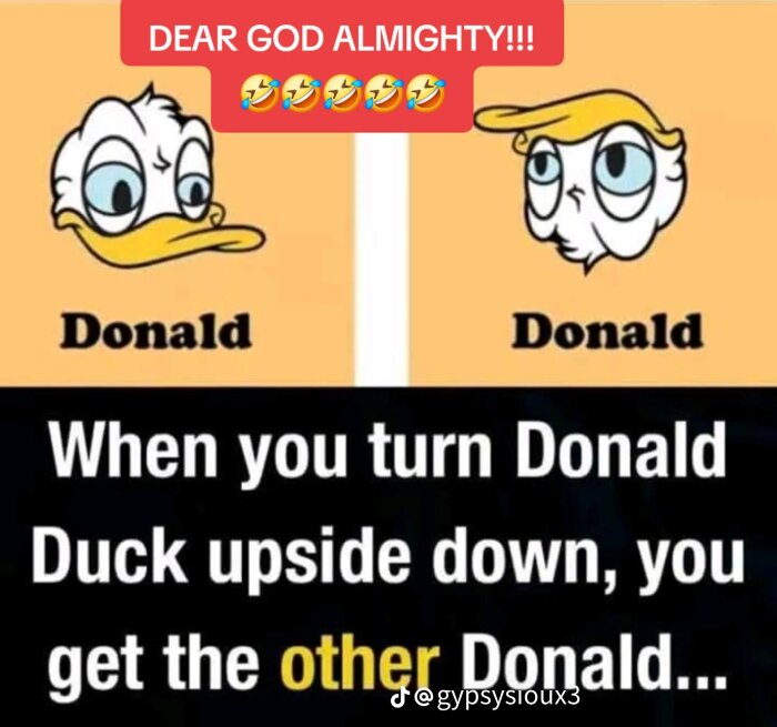 Bild av Kalle Ankas ansikte, och när det vänds upp och ned, ser det ut som en annan känd Donald. Texten lyder "When you turn Donald Duck upside down.