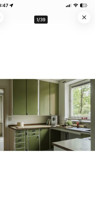 50-talskök med gröna köksluckor och träbänkskiva, fönster med utsikt över grönska, samt kryddor och äpplen på bänken.