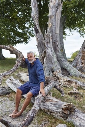 En man i blå skjorta och shorts sitter på en stor, nedfallen trädstam utomhus. Det är en somrig miljö med träd i bakgrunden.