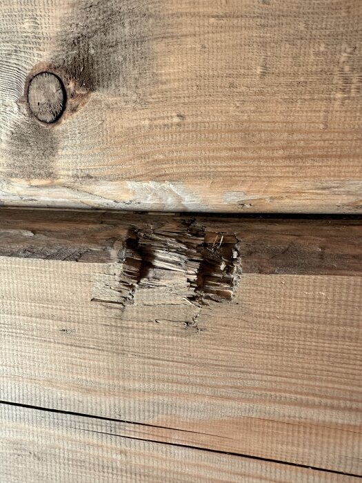 Skadat timmer i ett relativt nybyggt hus visar vridning och sprickor, potentiellt orsakat av fuktigt trä och felaktig användning av dymlingar.