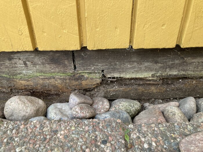Ruttna träplankor vid basen av en gul träfasad, omgivna av stenar och jord, med tecken på nedbrytning och fuktskador.