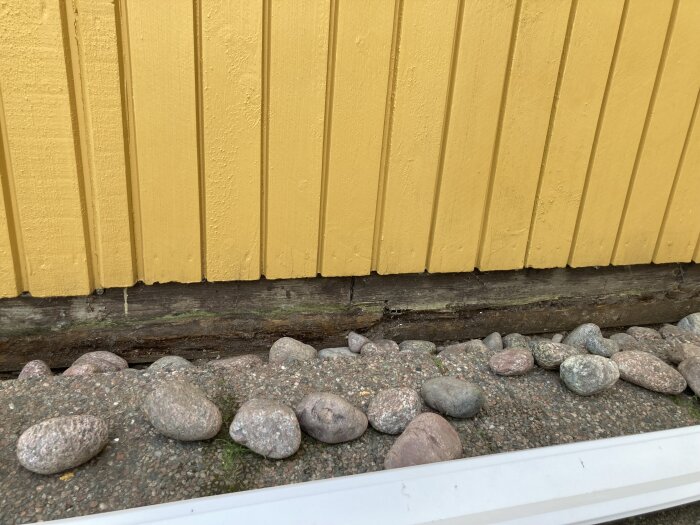 Gul träfasad på gäststuga med skadad syll vid grunden, omgiven av stenar på marken.