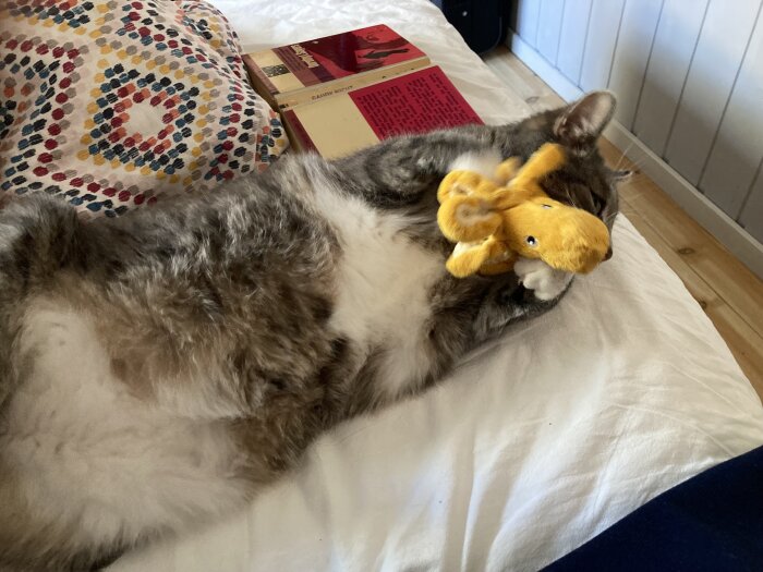 En katt ligger på en säng och kramar en gul leksak i form av en djurfigur. I bakgrunden syns en kudde och några böcker.