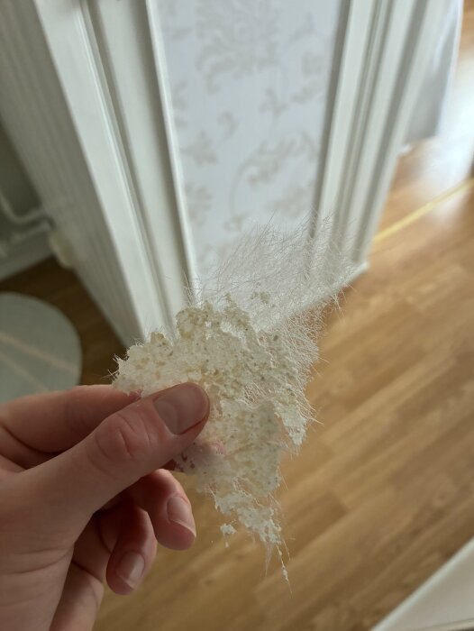 Hand håller i en bit gammal tapet eller väggmaterial som lossnat från en vägg med mönstrad vit tapet i bakgrunden.