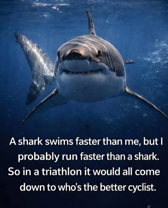 En haj simmar under vattnet med texten: "A shark swims faster than me, but I probably run faster than a shark. So in a triathlon it would all come down to who's the better cyclist.