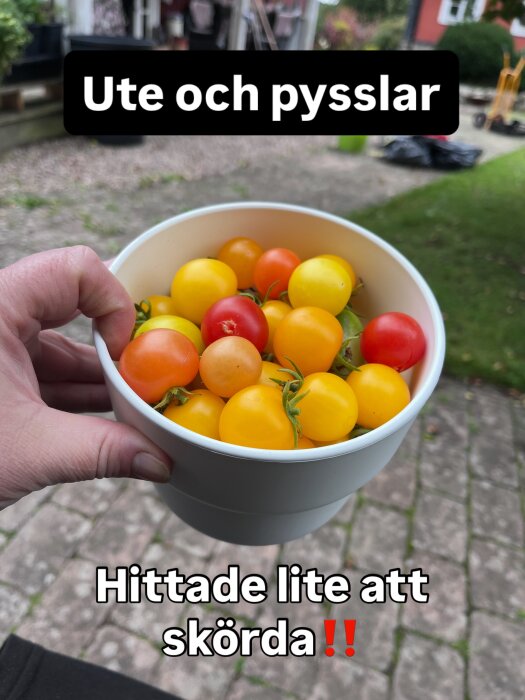 Hand håller en skål med små tomater i olika färger utomhus, i en trädgårdsmiljö. Texten säger "Ute och pysslar".