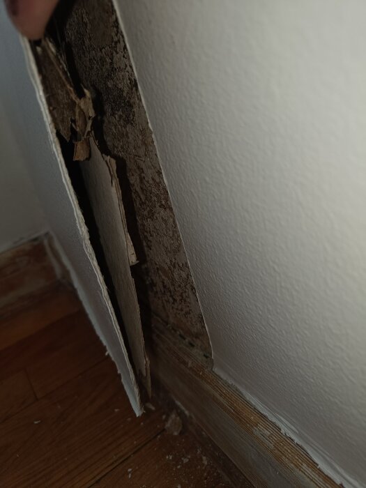 Skadad vägg med lös tapet och mögel inuti, synlig vid känslig renovering nära golvlist av trä.