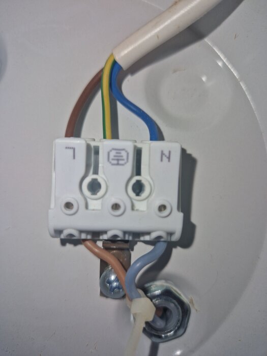 Elektrisk kopplingsplint med jordad sladd och färgkodade kablar i en armaturanslutning.