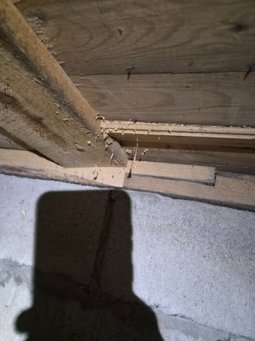 Träbalk i krypgrund visar tecken på fukt och rötskador med spår av nedbrytning, medan skuggan av en kamera syns på cementgolvet.