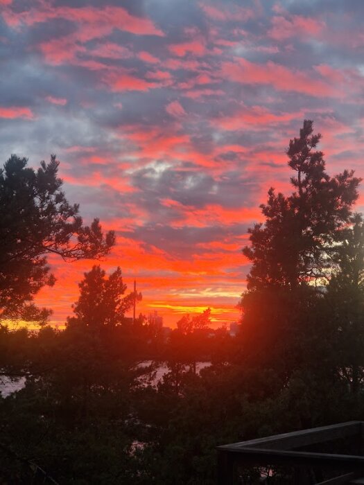 Höstsolnedgång med rödorange himmel bakom silhuetter av träd.