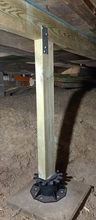 Träregel i en källare, stödd av pelardomkraft på betongplatta för provisoriskt bärande under bygge eller renovering.