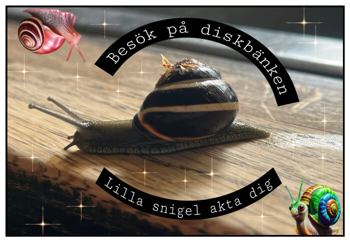 Snigel kryper på träyta, omgiven av tecknade sniglar och texten "Besök på diskbänken" och "Lilla snigel akta dig".