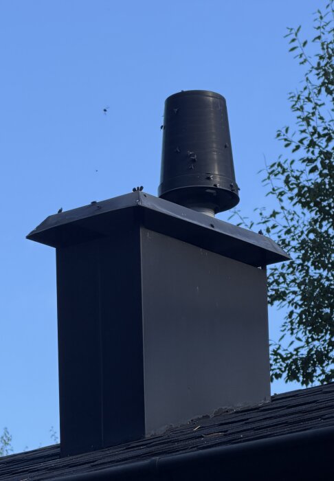 Ventilationsrör på taket med flera flugor runt om och några sittande på röret, mot en klarblå himmel och gröna träd i bakgrunden.