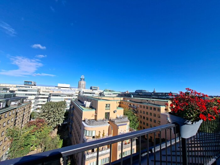 Utsikt över staden från en balkong med krukväxt med röda blommor i förgrunden och blå himmel i bakgrunden.