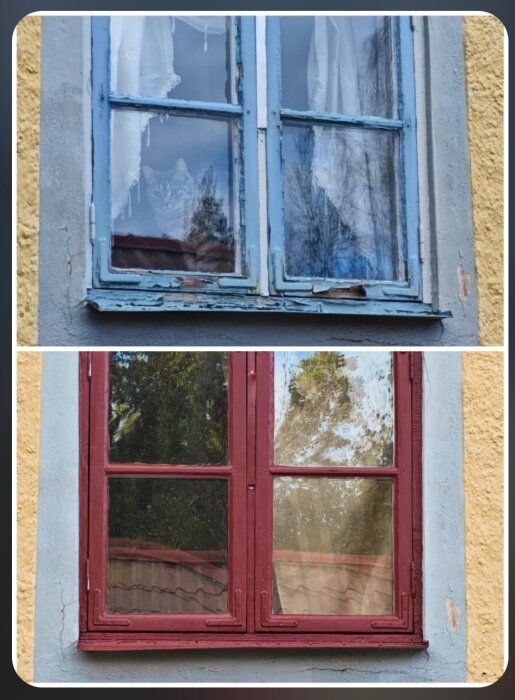 Övre bild visar ett gammalt blått fönster med en katt bakom, nedre bild ett nyrenoverat rött fönster, båda på en gul vägg.