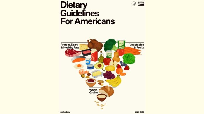 Illustration av omvänd matpyramid med fokus på protein, mejeriprodukter, grönsaker, frukt och fullkorn enligt "Dietary Guidelines for Americans 2025-2030".