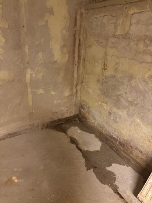 Blött hörn i källare med vatten som samlas längs fogarna i betonggolvet och fuktiga väggar. Eventuella dräneringsproblem vid regn.