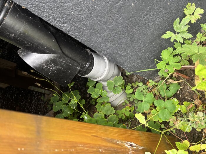 Svarta och gråa dräneringsrör vid en grund med gröna växter runtomkring, i anslutning till brunnen.