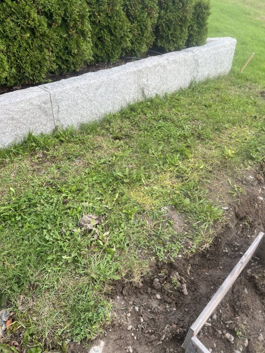 Granitmur framför en rad tujor med gräs och jord framför muren som delvis är uppgrävd, förberett för plantering av rabatt.