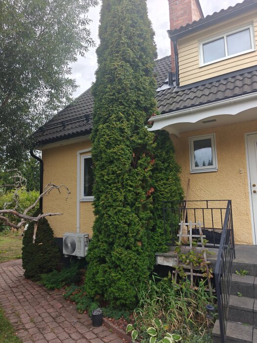 Gult hus med svart tak kantat av en hög, tät trädväxt vid entrén och stenlagd gång. Luftkonditioneringsenhet syns på väggen.
