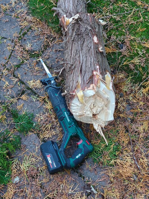 Batteridriven sticksåg på marken bredvid ett avsågat trädstycke.